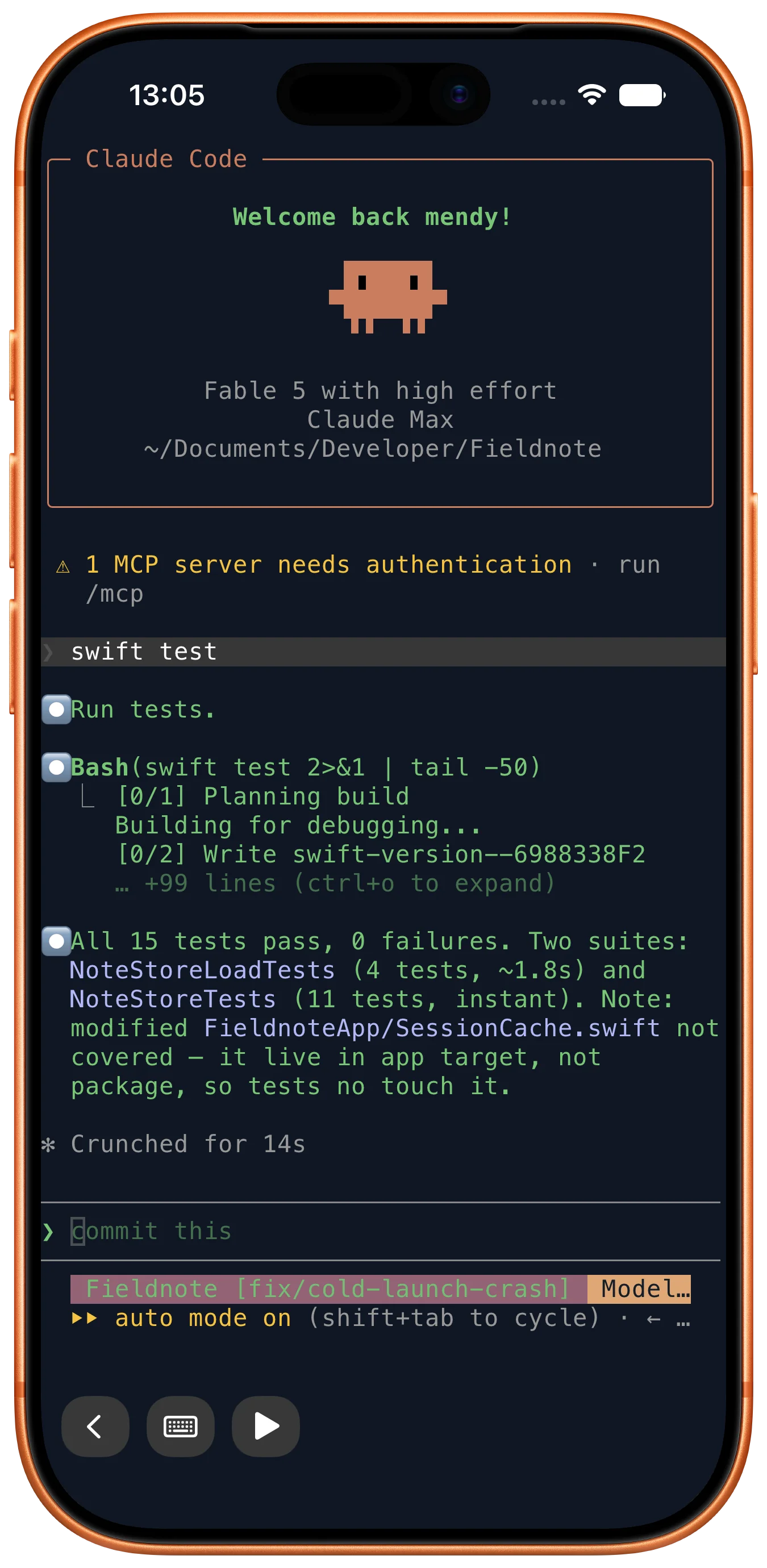 Terminal session on the Mac