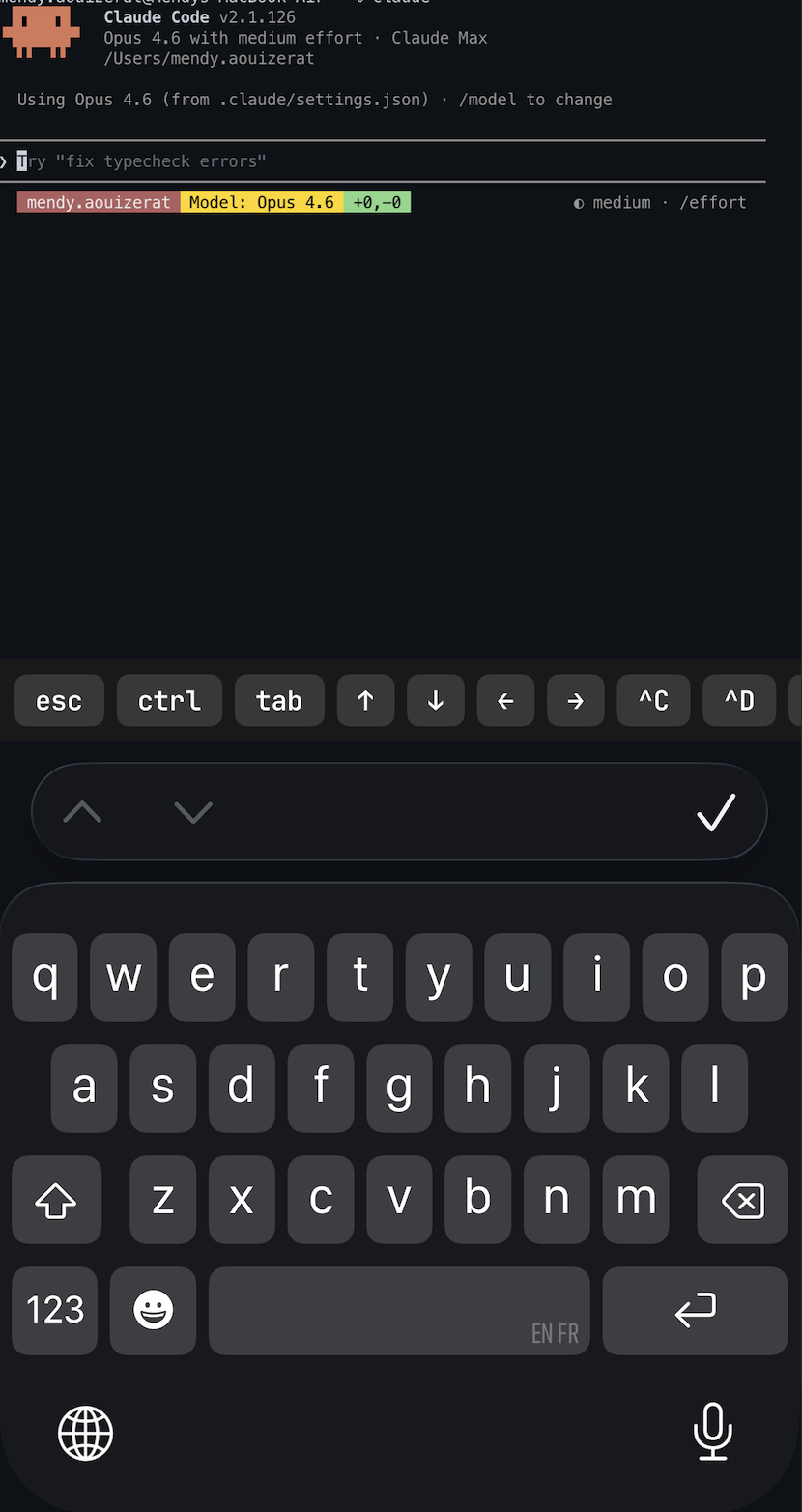 Terminal running Claude Code